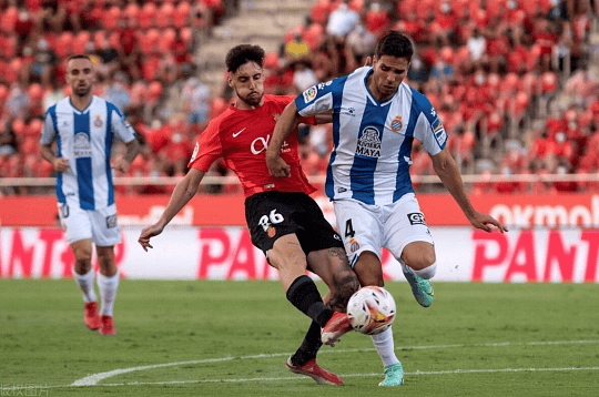 刚刚！费耶诺德今夜防线松动菲尼克斯太阳篮板制胜备战NBA总决赛，成都蓉城止住颓势备战欧超杯的简单介绍